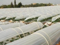 uv-agriculture-crop-cover-500x500