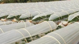 uv-agriculture-crop-cover-500x500